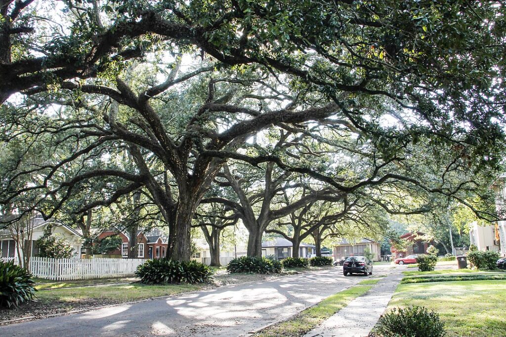 10 Secluded Towns Perfect For a Family Getaway Nestled Deep in the Trees of Eastern Louisiana