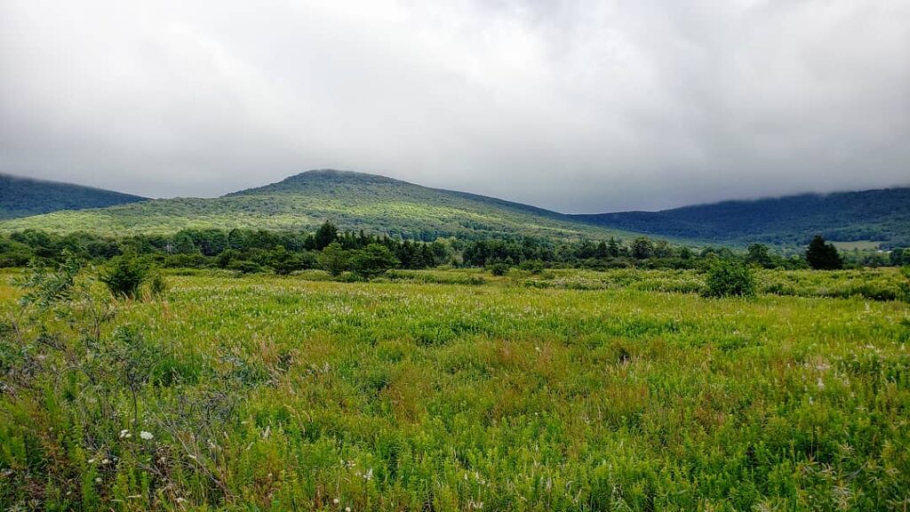 10 Secluded Neighborhoods in West Virginia’s Canaan Valley Perfect for Peaceful Living