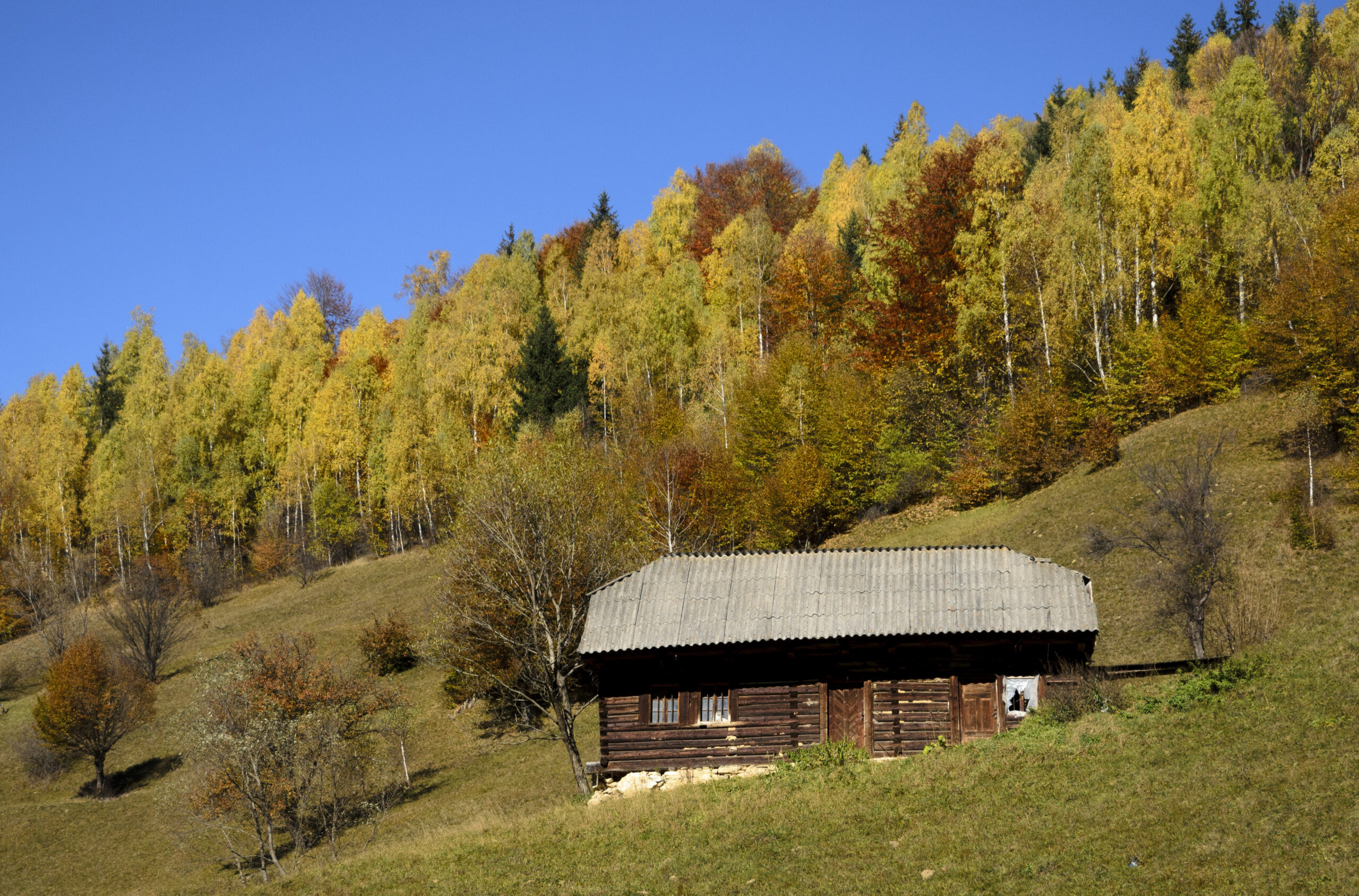 10 Remote Hideaways in Canaan Valley with Scenic Mountain Views