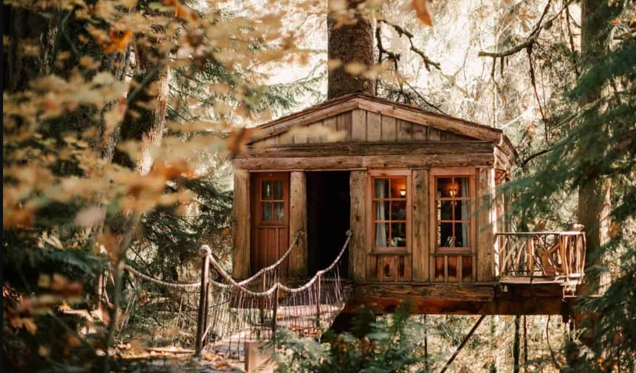 Cabins and Treehouses US